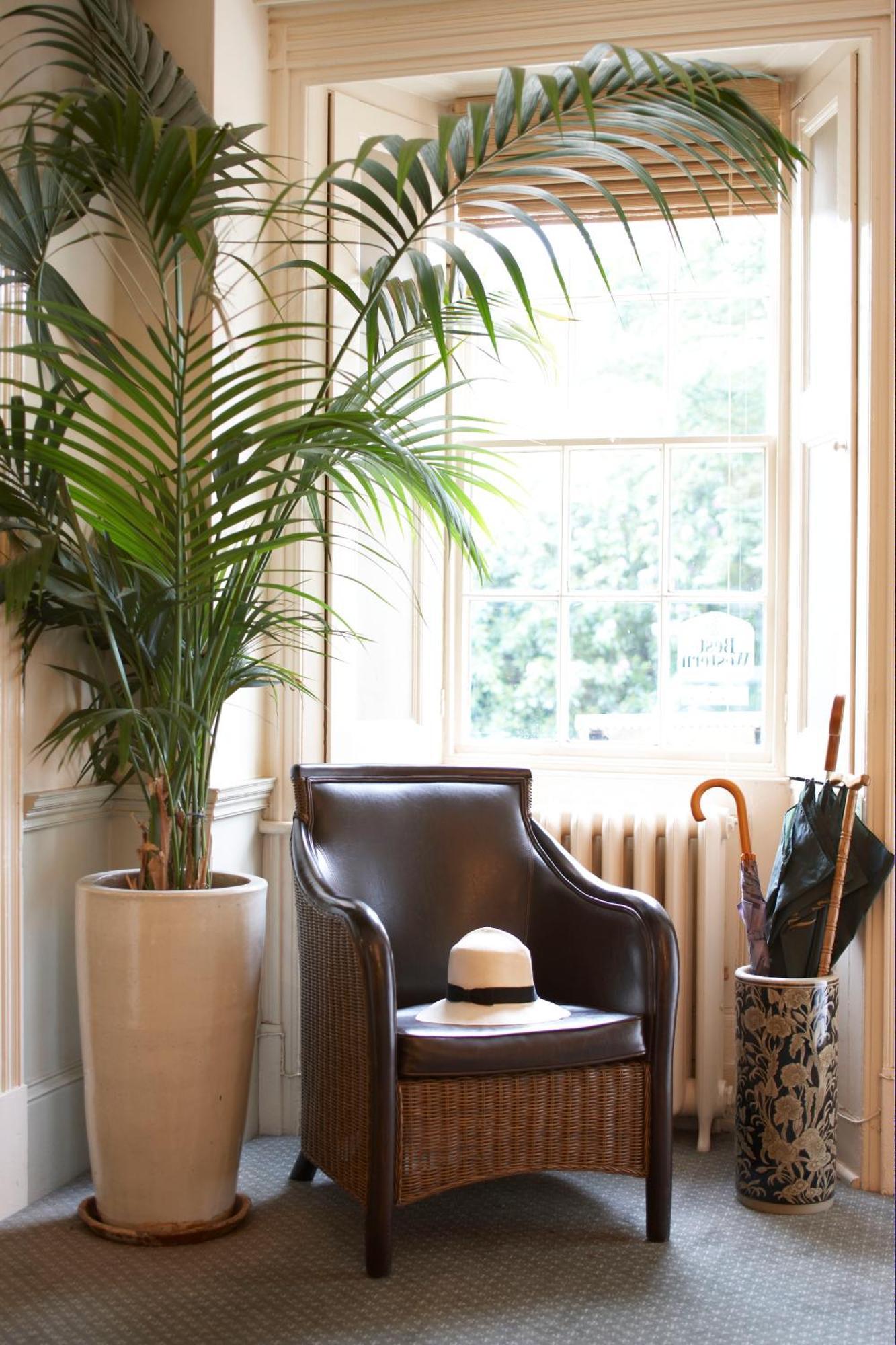 Flackley Ash Country House Hotel Peasmarsh ภายนอก รูปภาพ